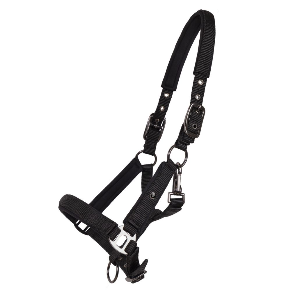QHP Fohlen Halfter Deluxe - schwarz, Größe Pony