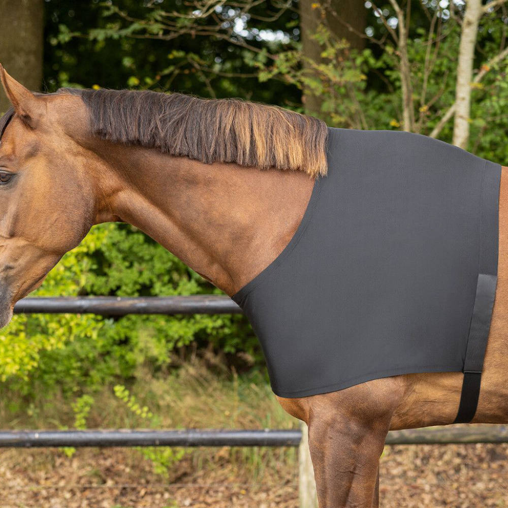 QHP Brustschutz Elastisch - schwarz, Größe S