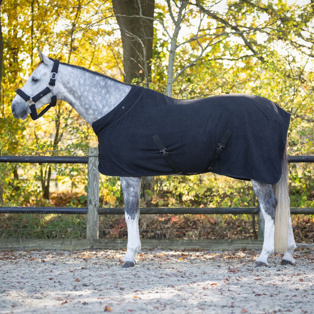 QHP Showdecke Zahra - schwarz, Größe 165 cm