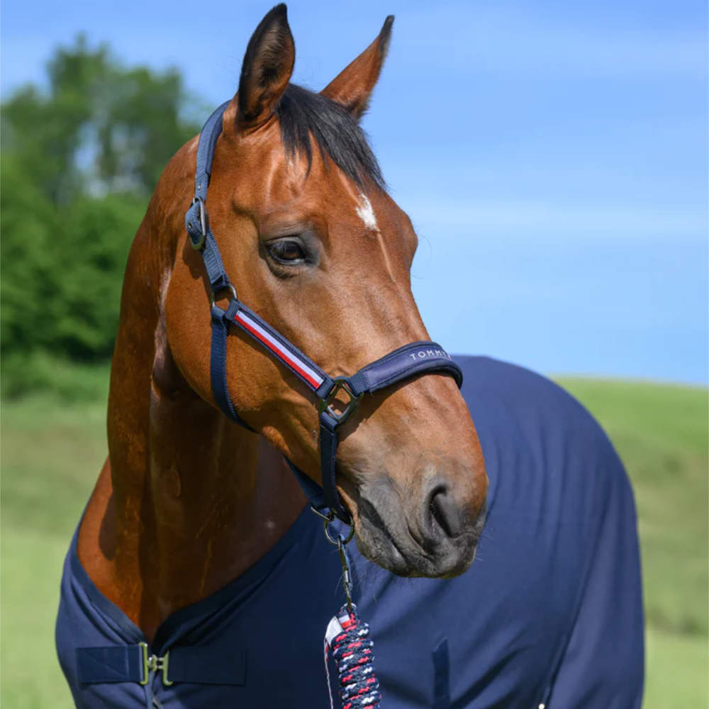 Tommy Hilfiger Equestrian Yale Set Halfter Mit Führstrick