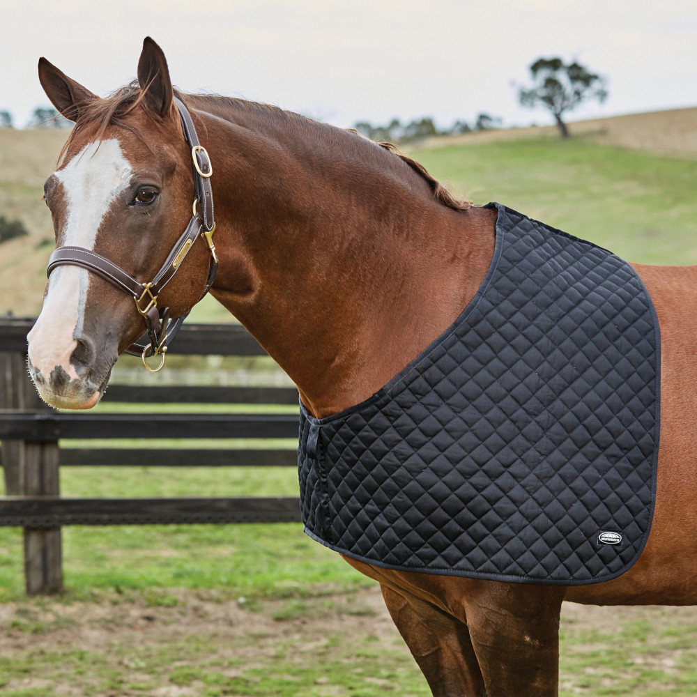 Weatherbeeta Deluxe Schulterschutz - black, Größe XL
