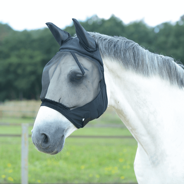 Busse Fliegenmaske FLY BUCKLER II - schwarz, Größe Pony