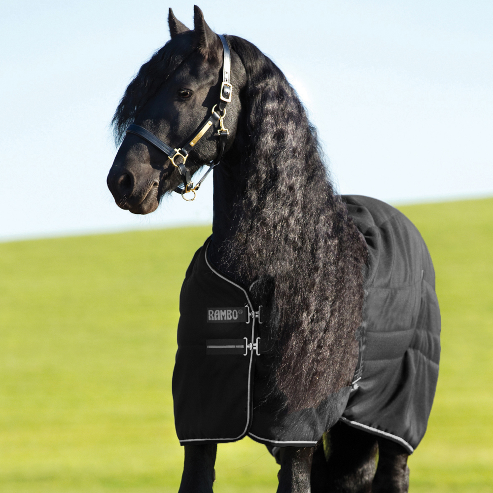 Horseware Rambo Stable 400g - Black/Silver, Größe 130