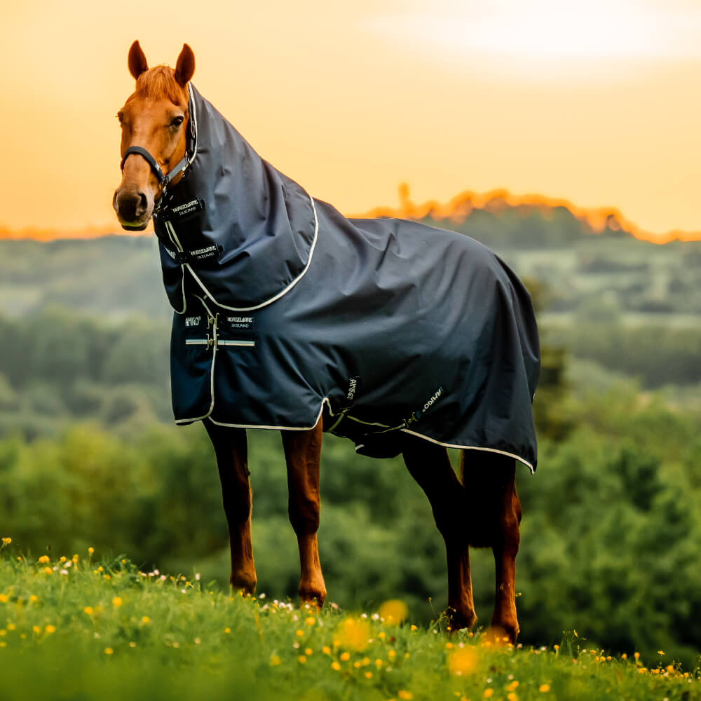Horseware Amigo Ripstop 900D Plus 0g - Witney Navy, Größe 130