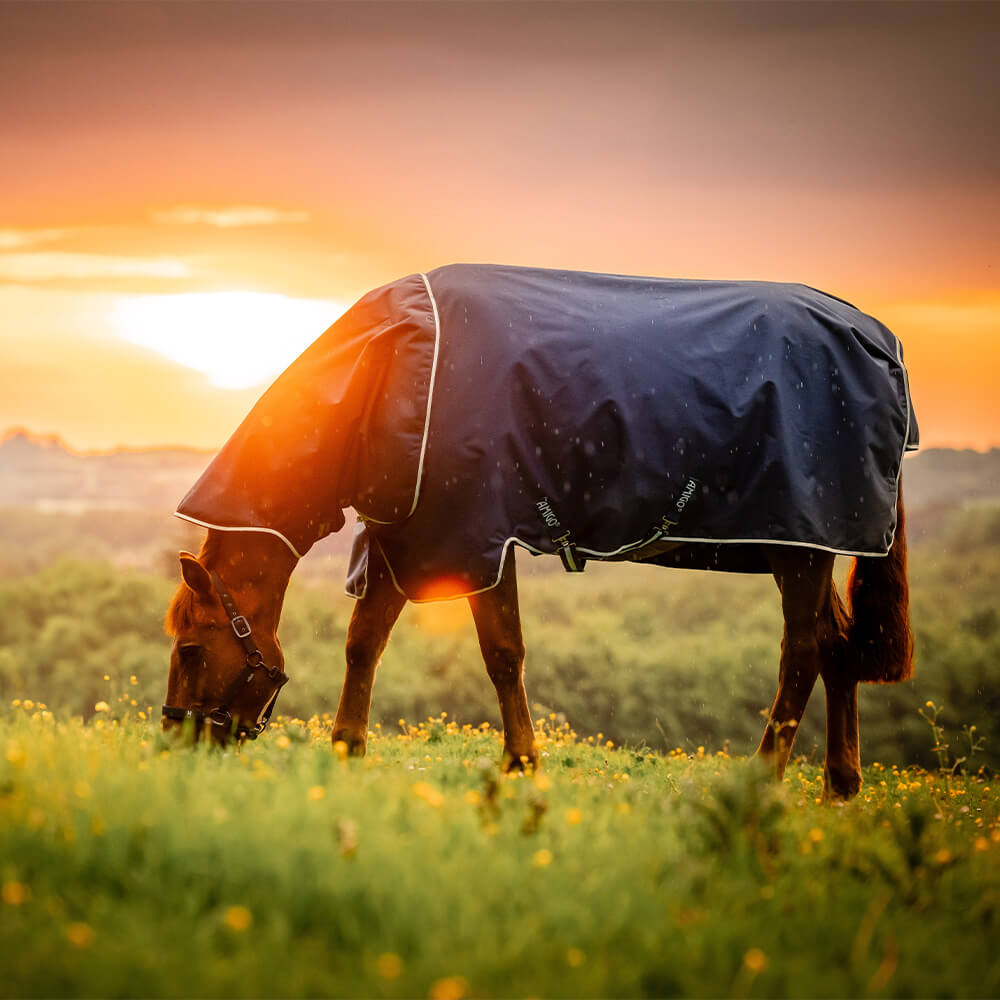Horseware Amigo Ripstop 900D Plus 200g - Witney Navy, Größe 125
