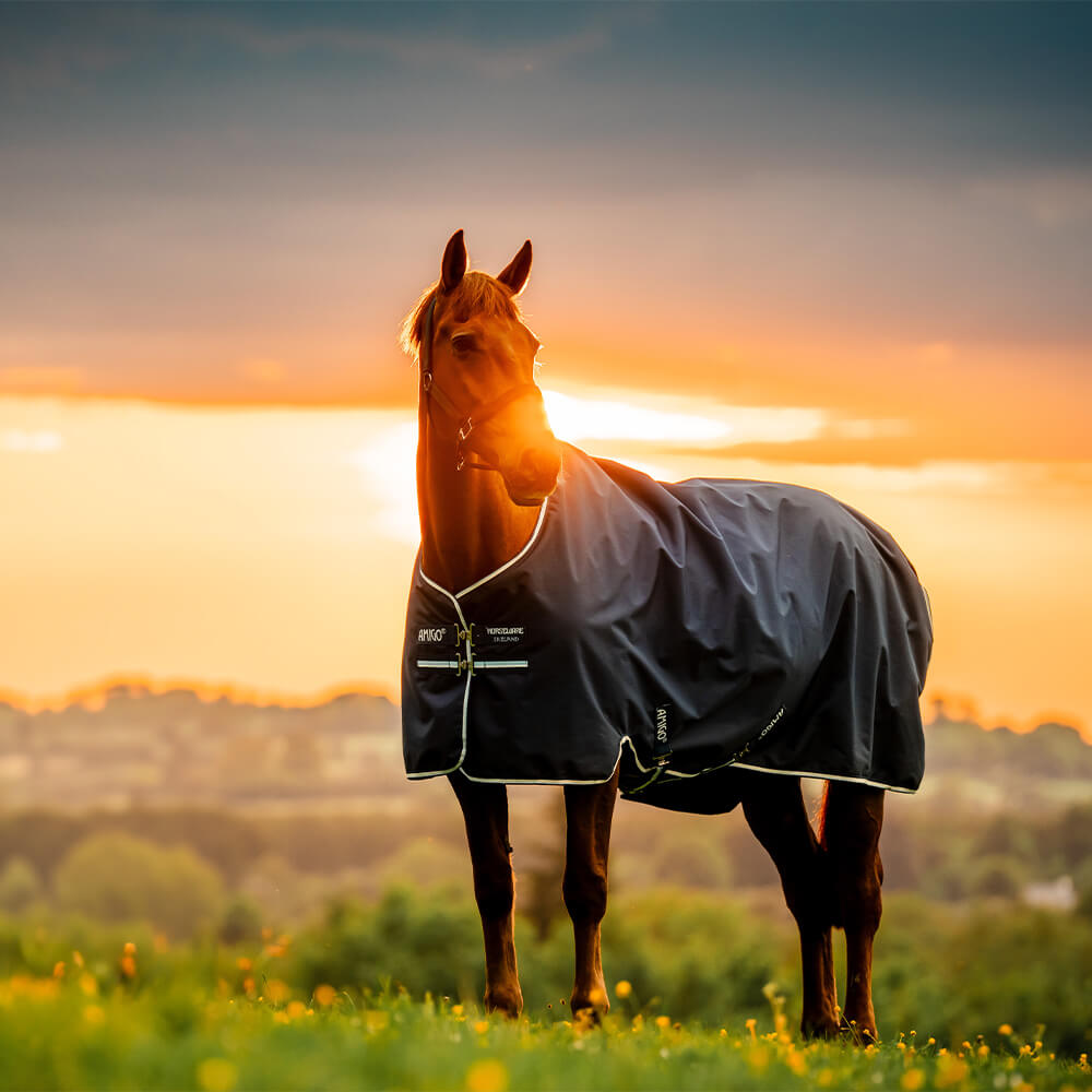 Horseware Amigo Ripstop 900D 100g - Witney Navy, Größe 125