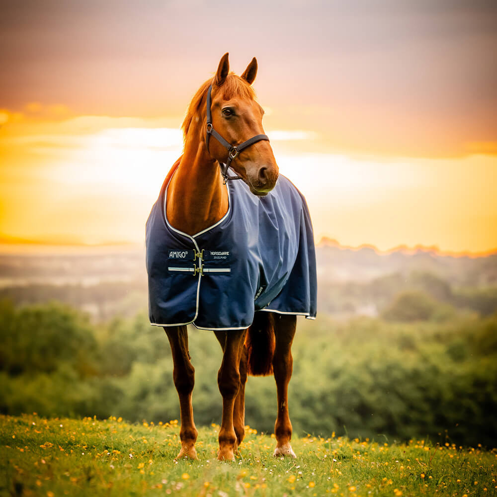 Horseware Amigo Ripstop 900D Turnout 200g - Witney Navy, Größe 140