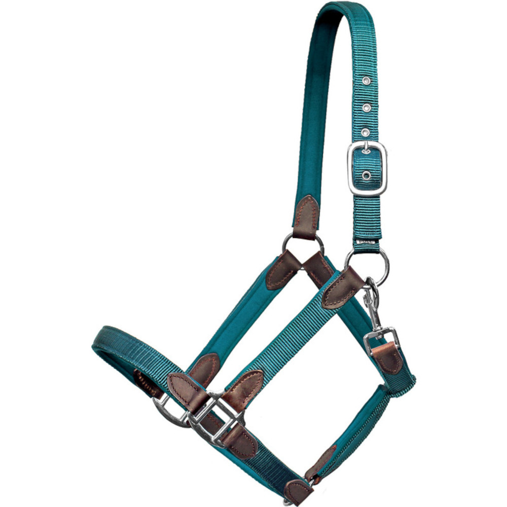 Euroriding Halfter Cholet Nylon-Neopren-Leder - petrol, Größe Full