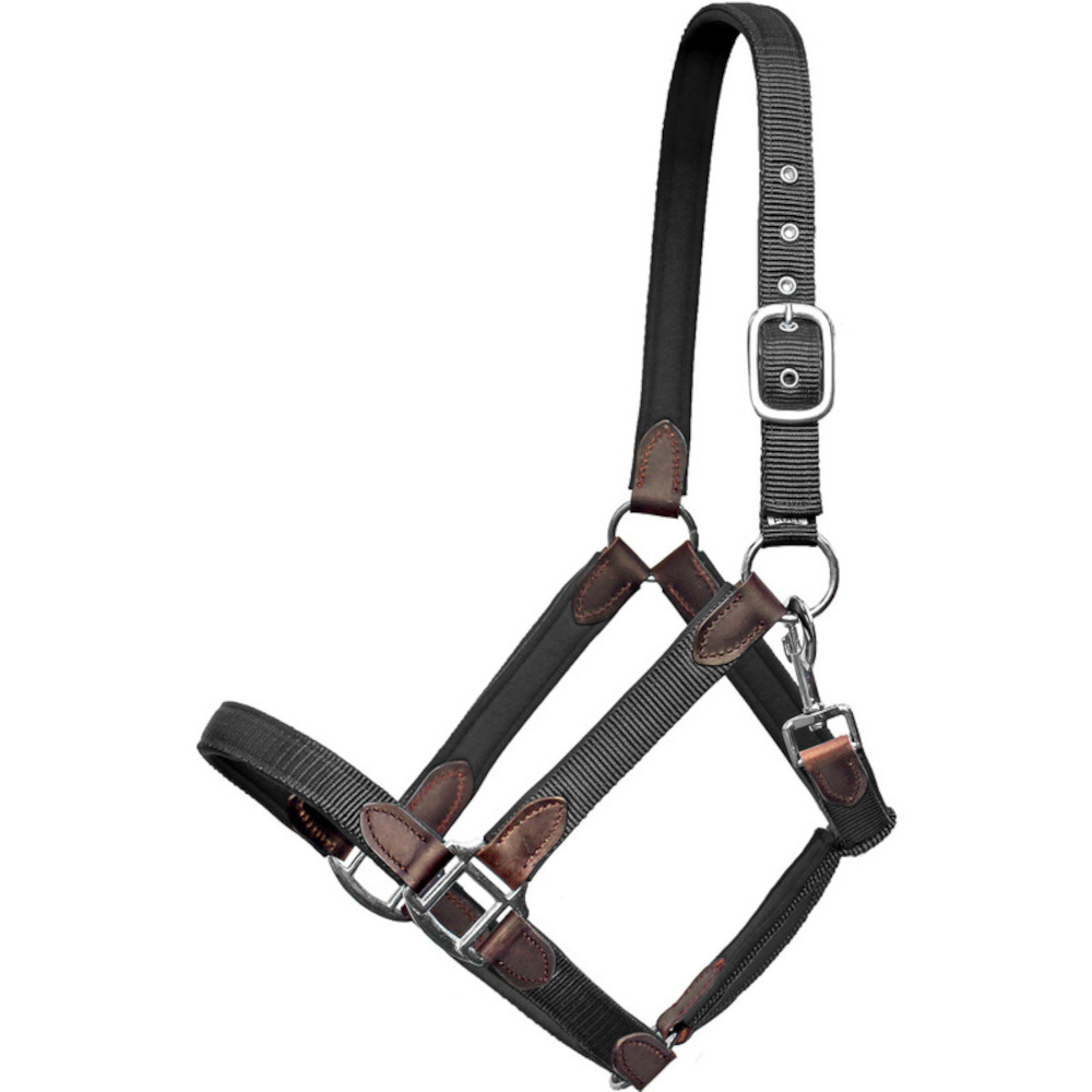 Euroriding Halfter Cholet Nylon-Neopren-Leder - schwarz, Größe Full