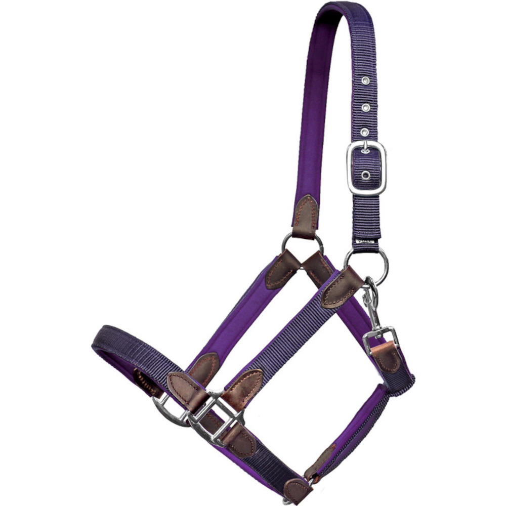 Euroriding Halfter Cholet Nylon-Neopren-Leder - lila, Größe Cob