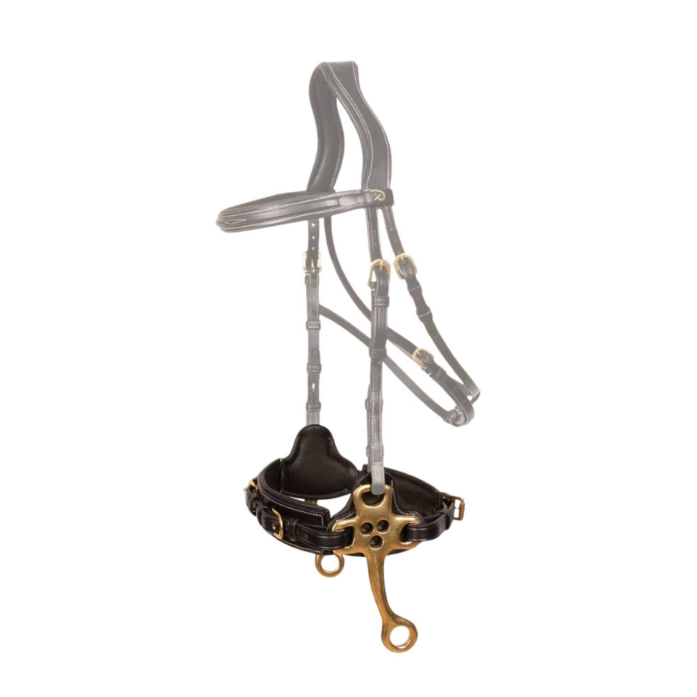 Dyon Hackamore Dy'on Collection - black, Größe Warmblut
