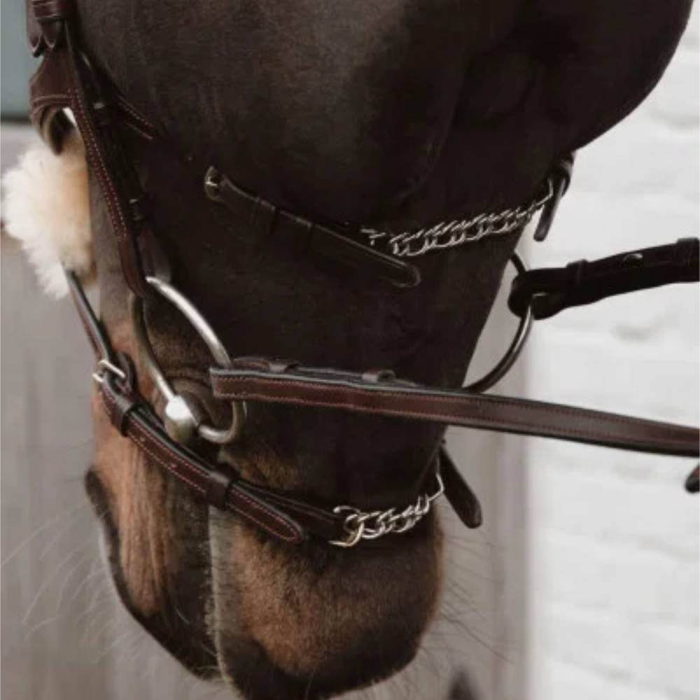 Dyon Ketten 5/8 New English Collection - brown, Größe Warmblut