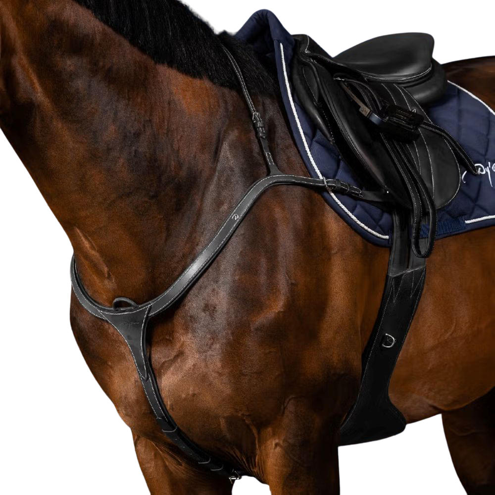 Dyon Vorderzeug mit langer Brücke US Collection - black, Größe Warmblut Extra