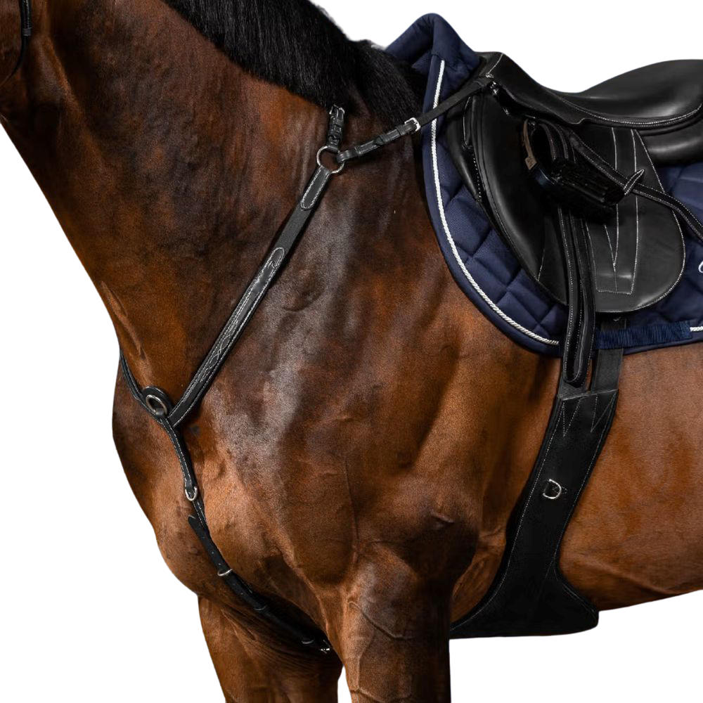 Dyon Vorderzeug mit Brücke US Collection - black, Größe Warmblut
