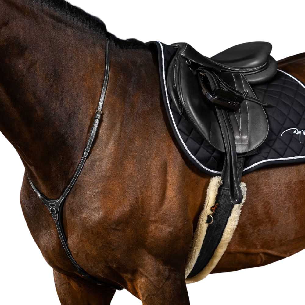 Dyon Yoke Martingal US Collection - black, Größe Warmblut Extra