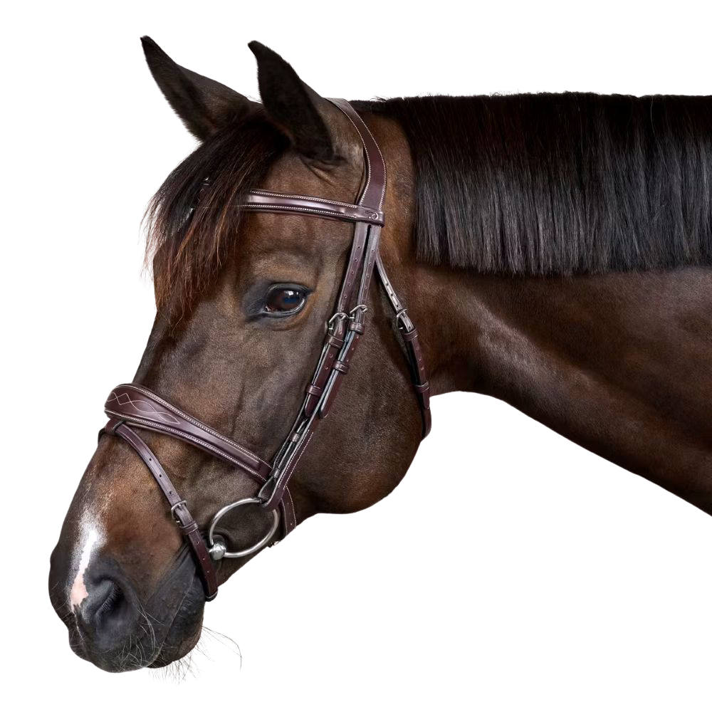Dyon Anatomische Trense Mit Kombiniertem Reithalfter Us Collection