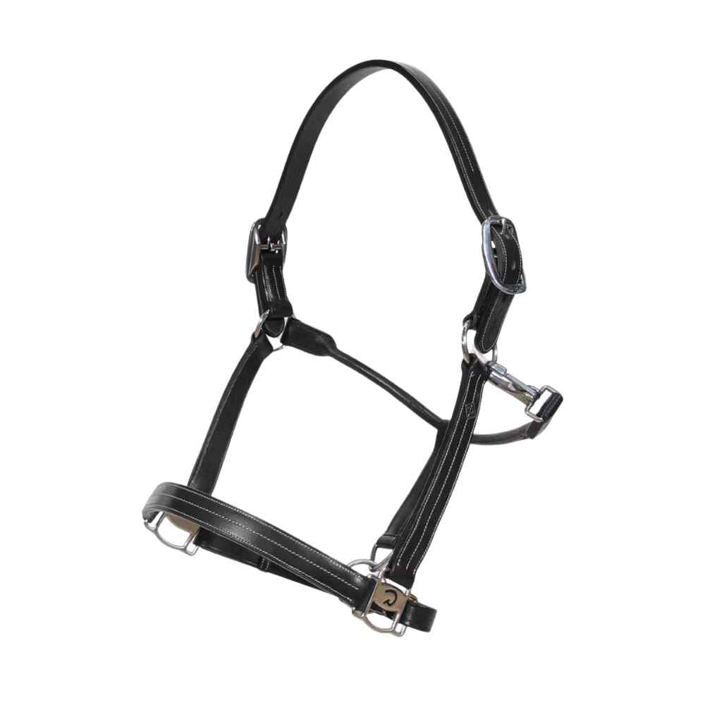 Dyon Halfter US - black, Größe Warmblut Extra