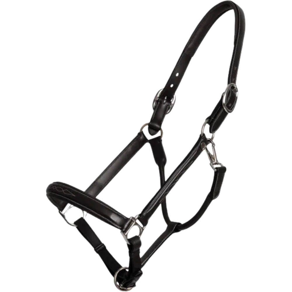 Dyon Halfter Fancy Working Collection - black, Größe Pony