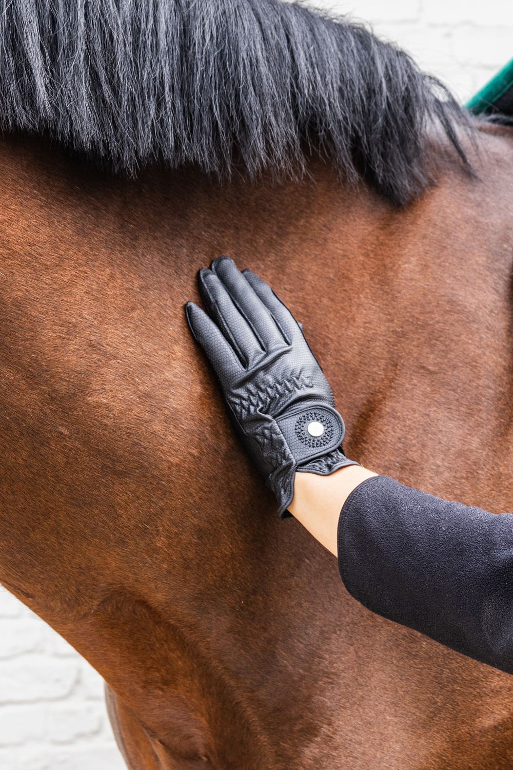 Kentucky Horsewear Reithandschuhe mit Grip,Glitzer und Echsenmuster - black, Größe 7