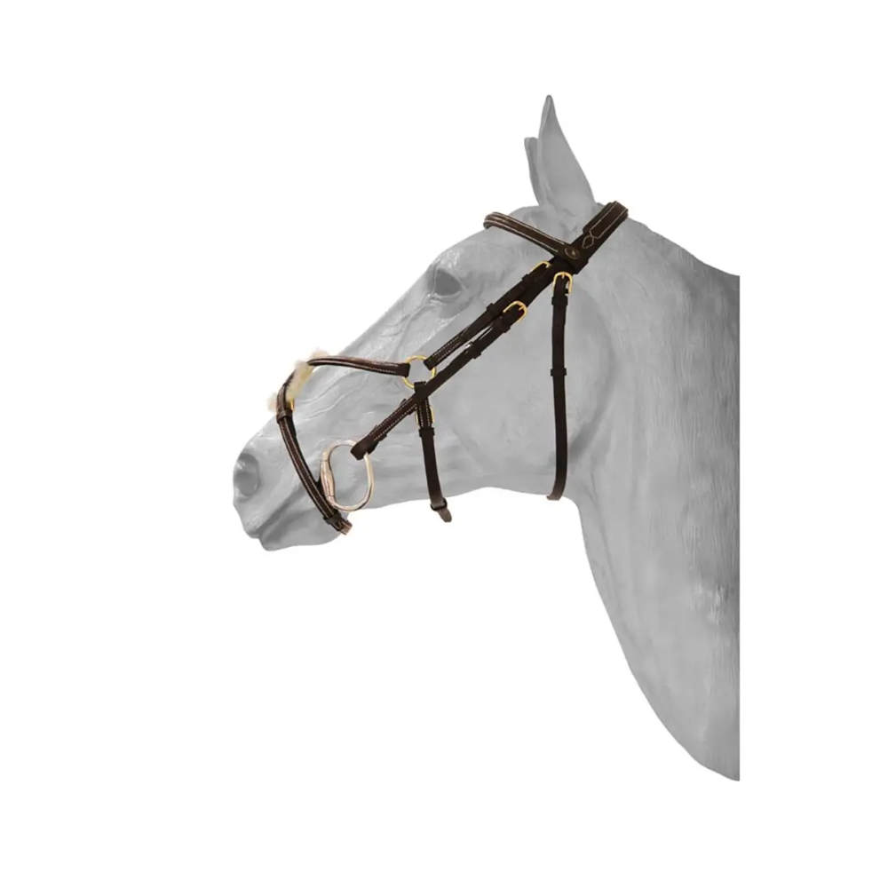 HFI mexikanische Trense - braun, Größe Pony