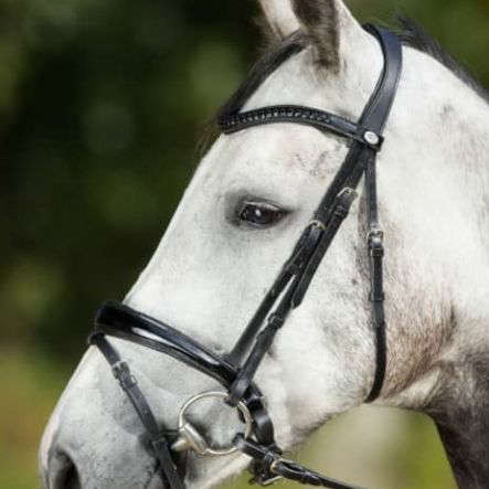 HFI Trensenzaum Luxe - schwarz, Größe Full