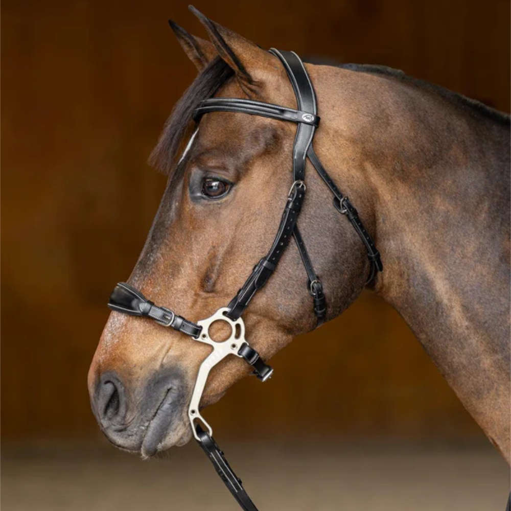 HFI anatomische Hackamore Trense mit geradem Stirnband - schwarz, Größe Cob