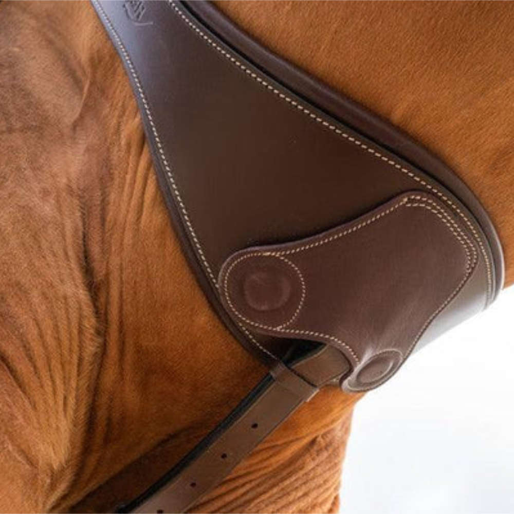 HFI anatomischer Sattelgurt mit magnetischem Stollenschutz