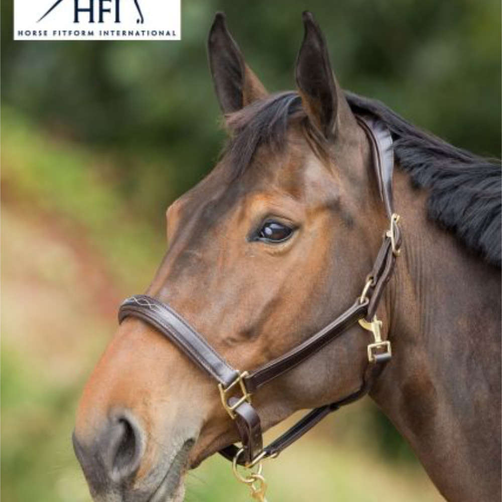 HFI anatomisches Lederhalfter mit besticktem Nasenriemen und abnehmbaren Kehlriemen - braun, Größe Pony