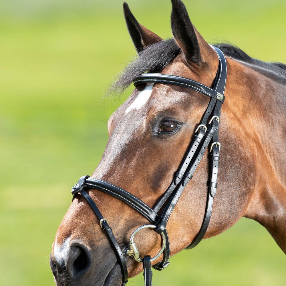 HFI anatomische Trense mit abnehmbarem Sperrriemen - schwarz, Größe Pony
