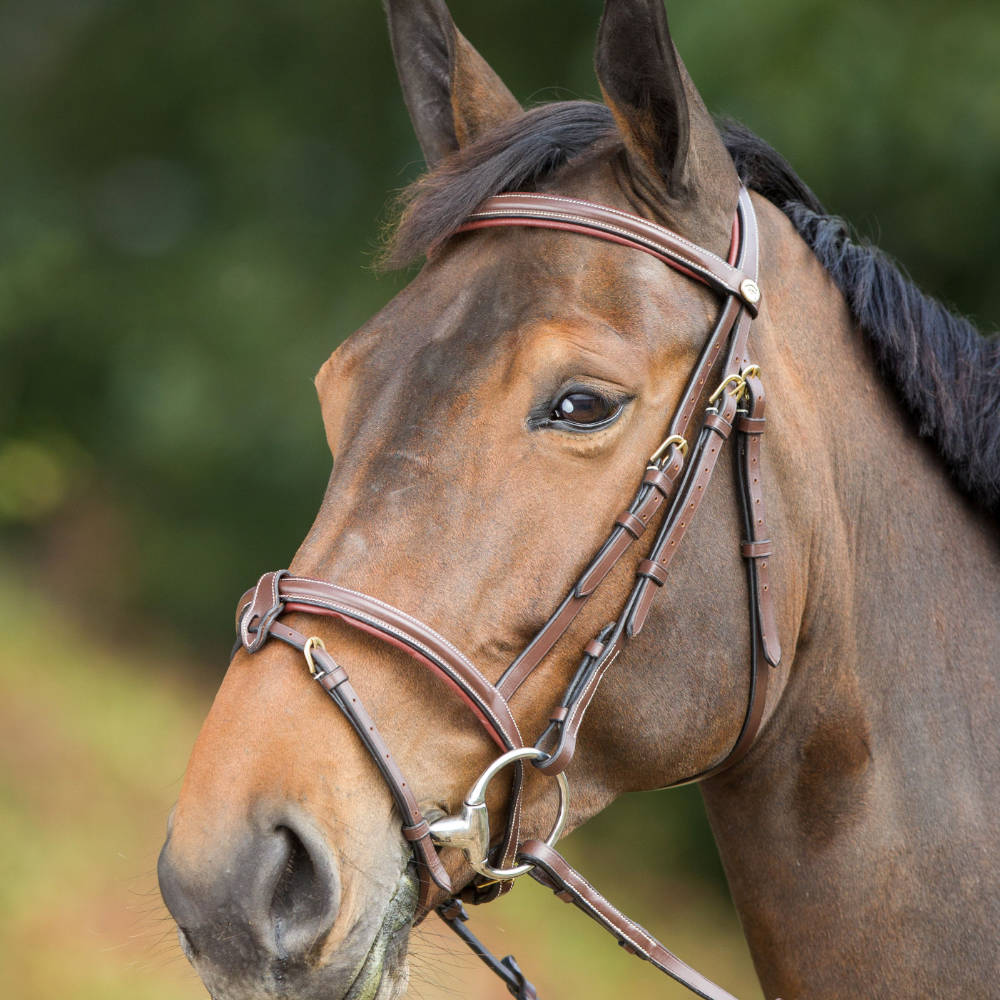 HFI anatomische Trense mit abnehmbarem Sperrriemen - braun, Größe Pony