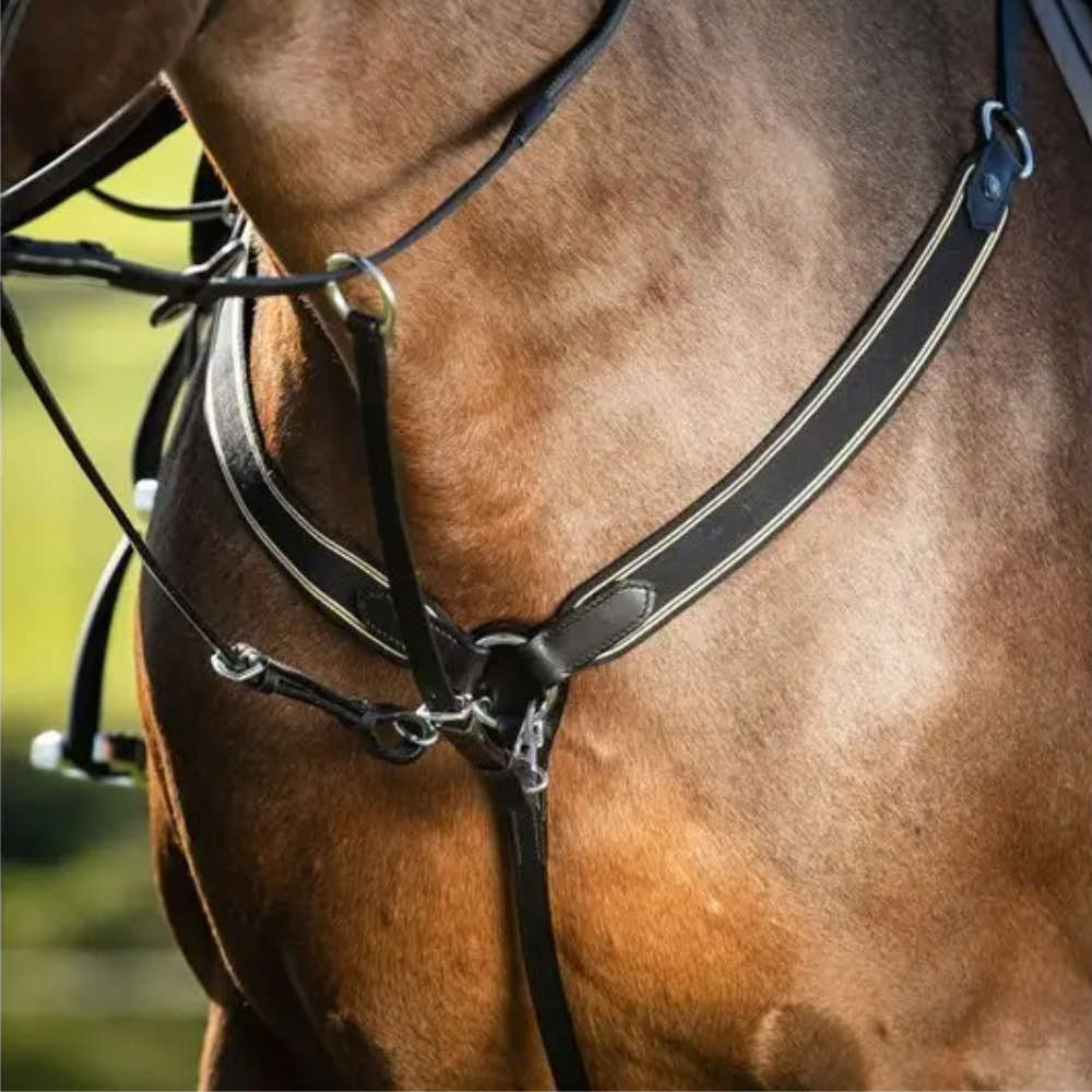 HFI Elastisches Vorderzeug mit Karabinerhaken - schwarz/schwarz, Größe Pony