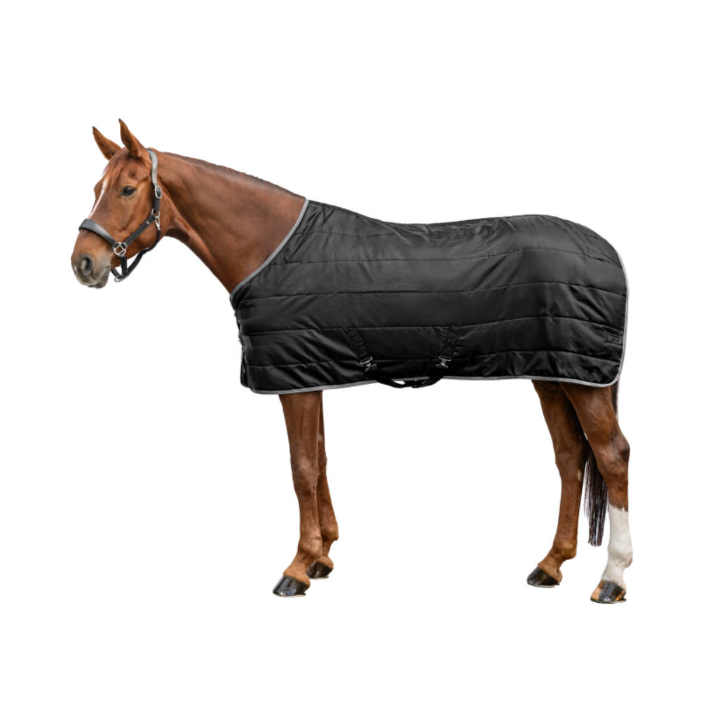 Waldhausen ECONOMIC Stalldecke 100 g - schwarz, Größe 165 cm