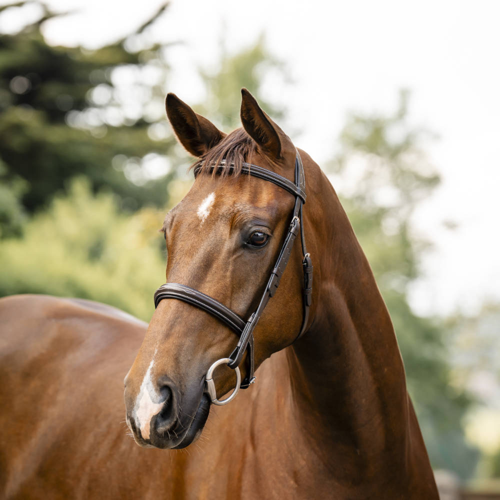 Horseware Hunter Ledertrense