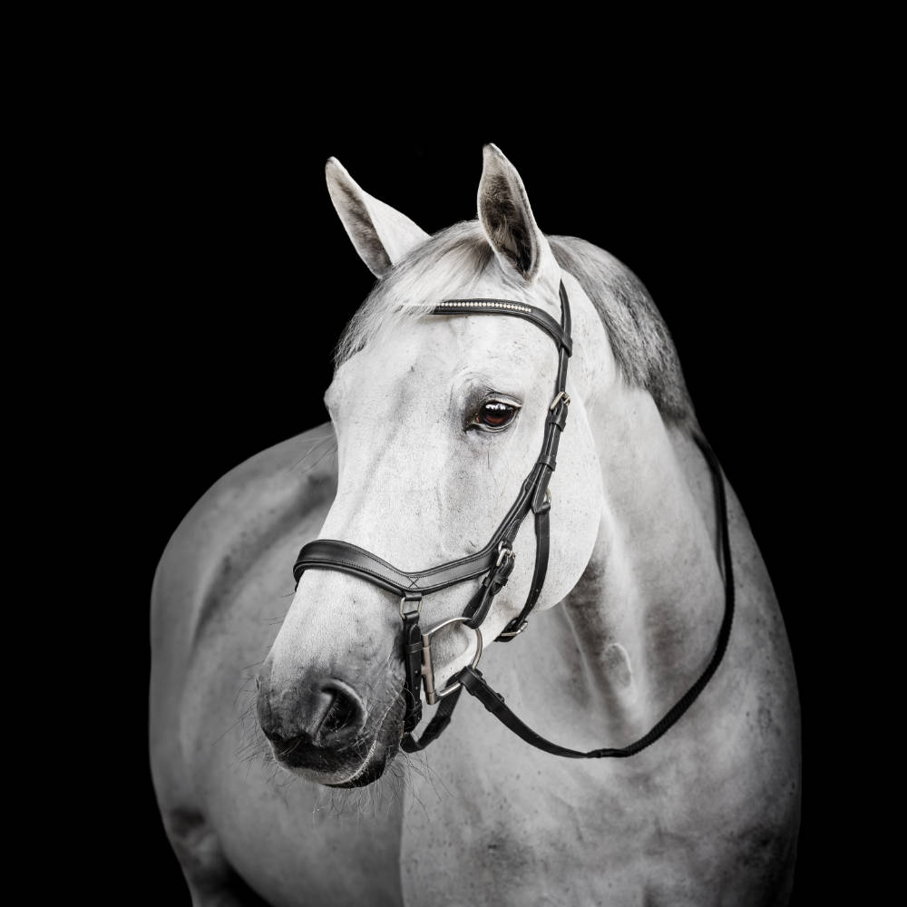 Horseware Micklem Diamante Competition Trense - black, Größe großes Warmblut