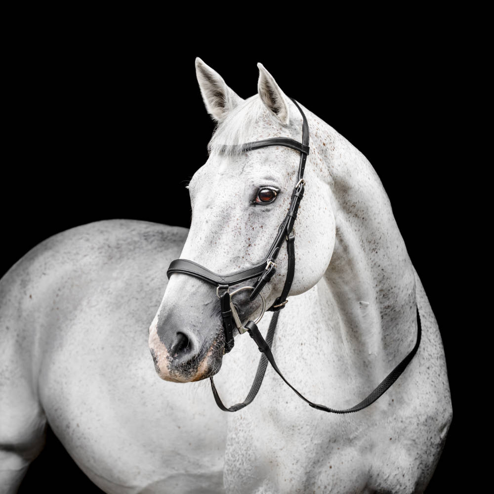 Horseware Micklem Competition Trense