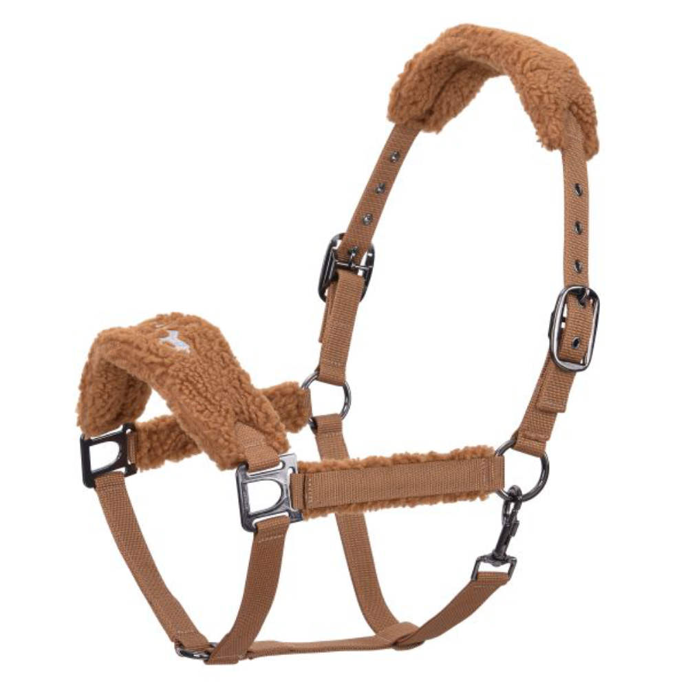 HV Polo Halfter HVPTeddy