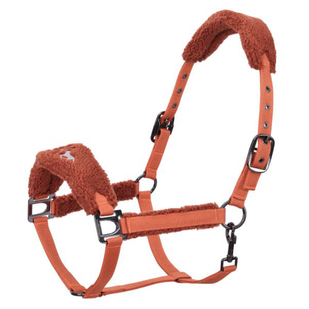 HV Polo Halfter HVPTeddy - pumpkin, Größe Vollblut