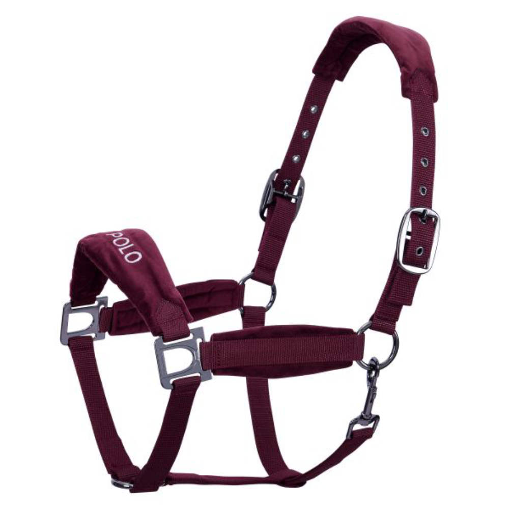HV Polo Halfter HVPLuxury - wine, Größe Warmblut