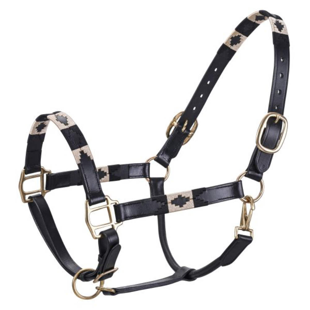 HV Polo Halfter HVPChaya - black-gold, Größe Warmblut