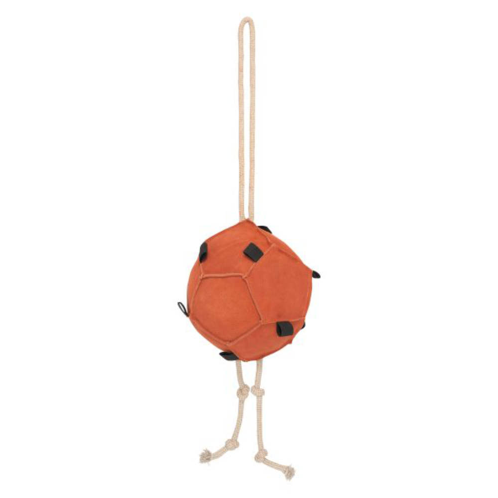 HV Polo Horse ball HVPVolley