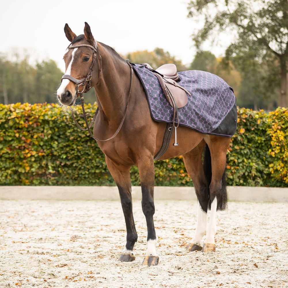 QHP Ausreitdecke 1200D Turnout Collection Fleece - bouncing bows, Größe L