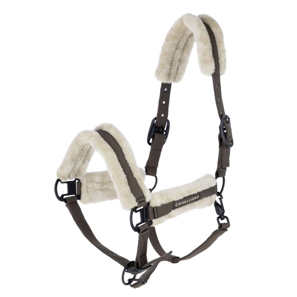 Covalliero Halfter Soft HW 2026 - milky chocolate, Größe Pony