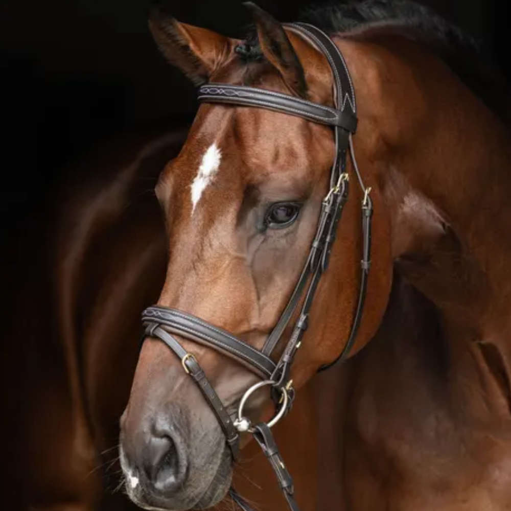Covalliero Trensenzaum Classic Leder - brown, Größe Vollblut