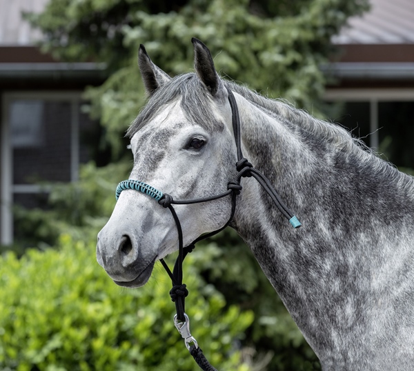 "Crosslander Outdoor Boots ""Malmö""", Marine, 43 Eu, 12450000-132-443-image