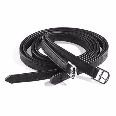 Amerigo Steigbügelriemen Nylon