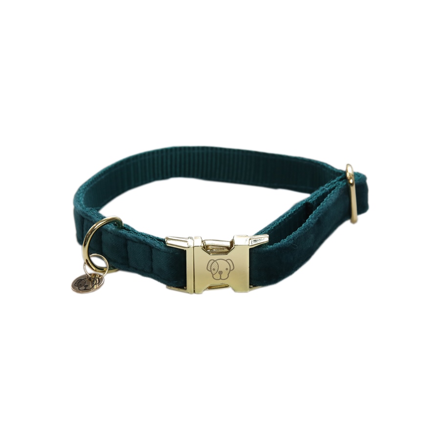 Kentucky Dogwear Velvet Dog Collar Hundehalsband - smaragd, Größe XXS