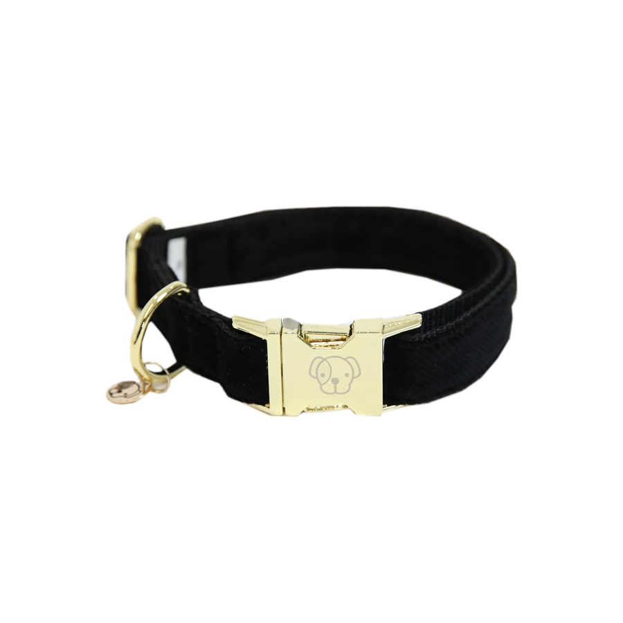 Kentucky Dogwear Corduroy Hundehalsband - schwarz, Größe XS