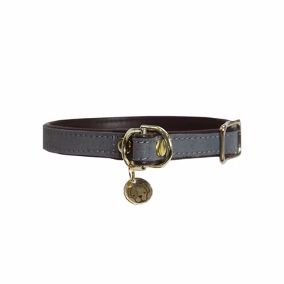 Kentucky Dogwear Loop Hundehalsband