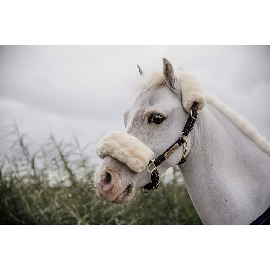 Kentucky Horsewear Lederhalfter mit Fell - braun, Größe P
