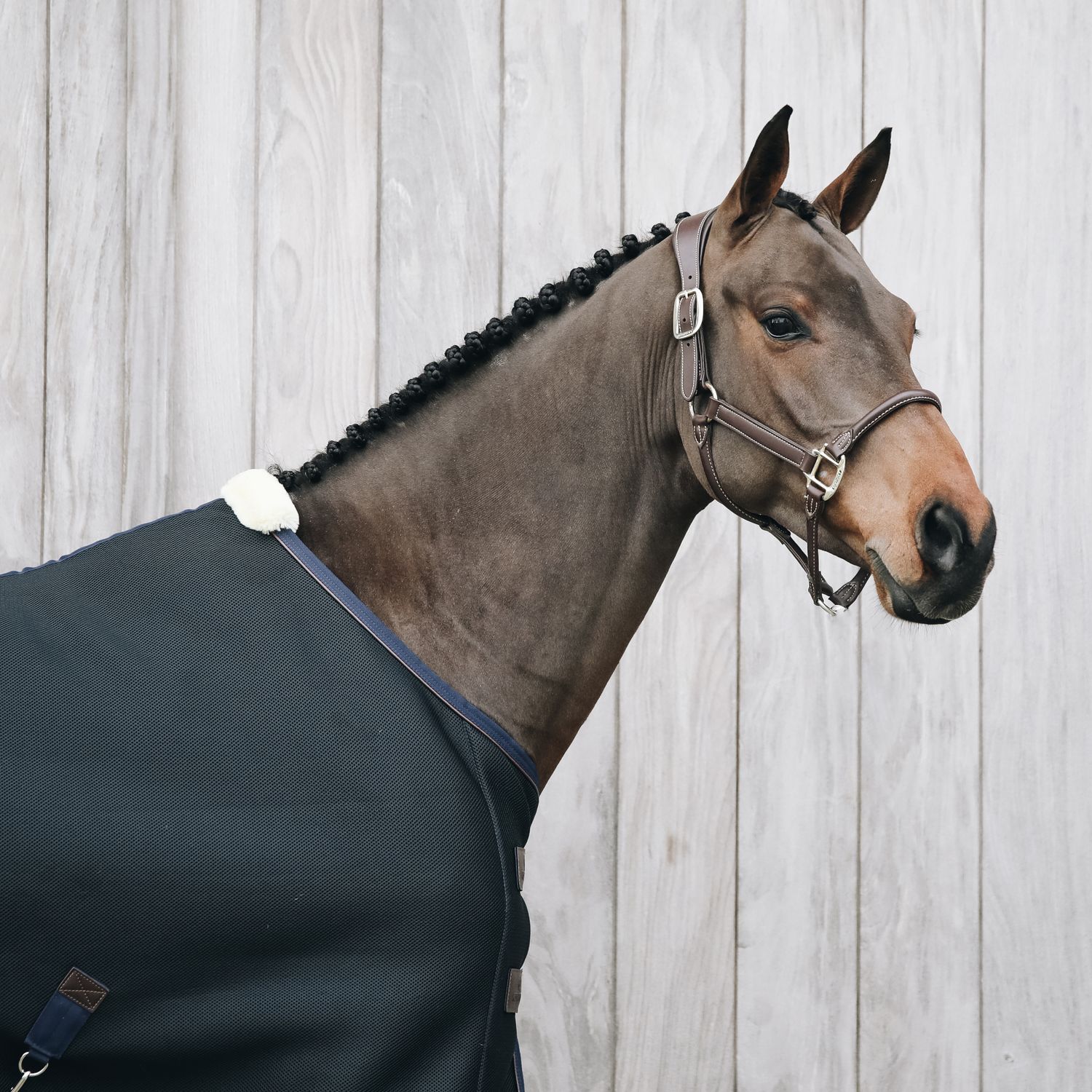 Kentucky Horsewear 3D Spacer Cooler Fleece Abschwitzdecke - schwarz, Größe 155